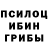 Псилоцибиновые грибы Magic Shrooms Really PvP