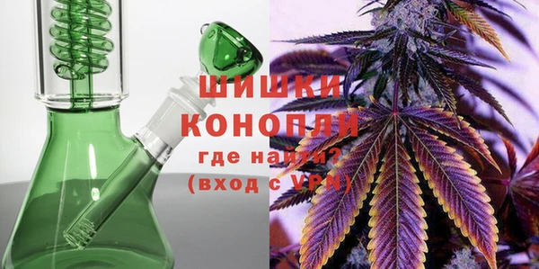 дмт Касимов