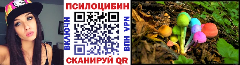 Купить  Прохладный  Псилоцибиновые грибы мицелий 